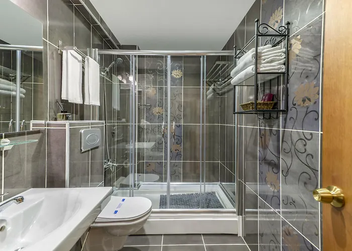 Royan Hotel Istambul